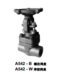 美國泰勒鍛鋼閘閥A542-B