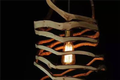 地里種出來的綠色環保椅 你肯定沒見過