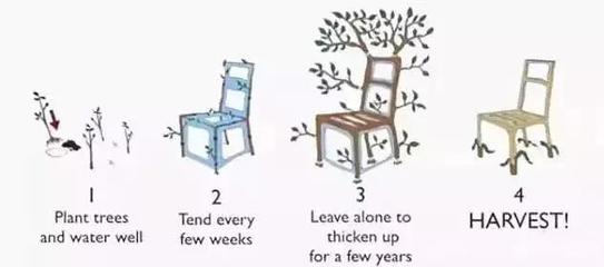 種植家具 9年等待與環保未來的探索